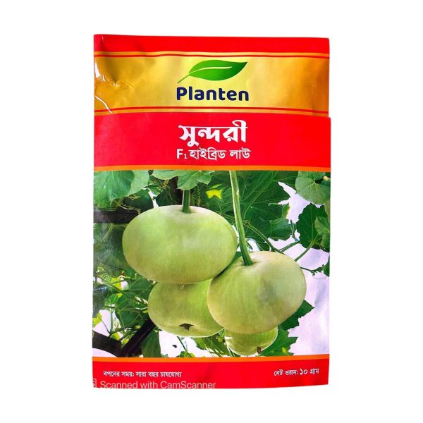হাইব্রিড লাউ সুন্দরী
