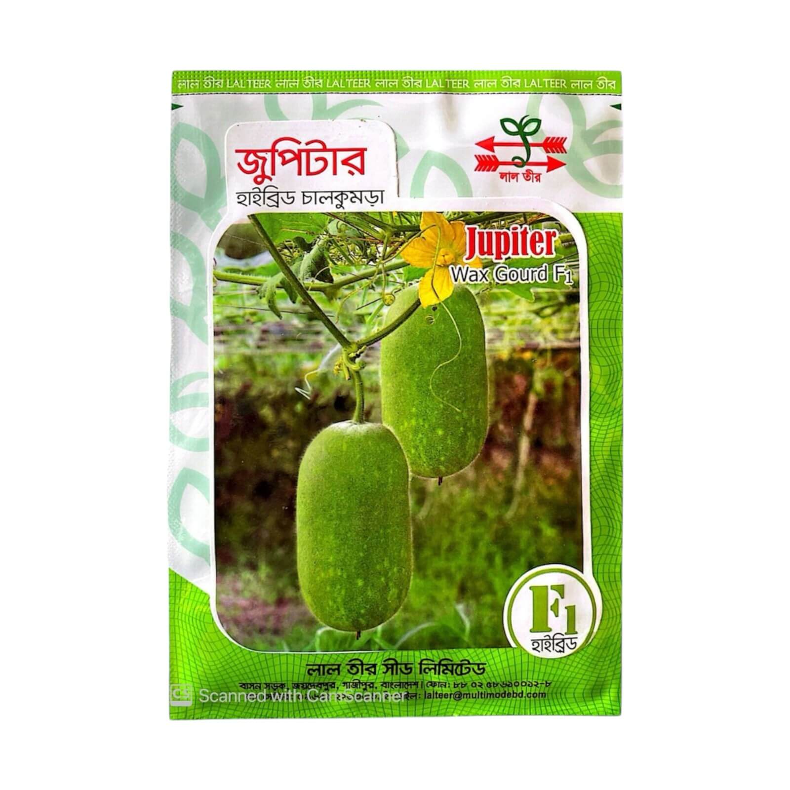 হাইব্রিড চাল কুমড়া ভেনাস