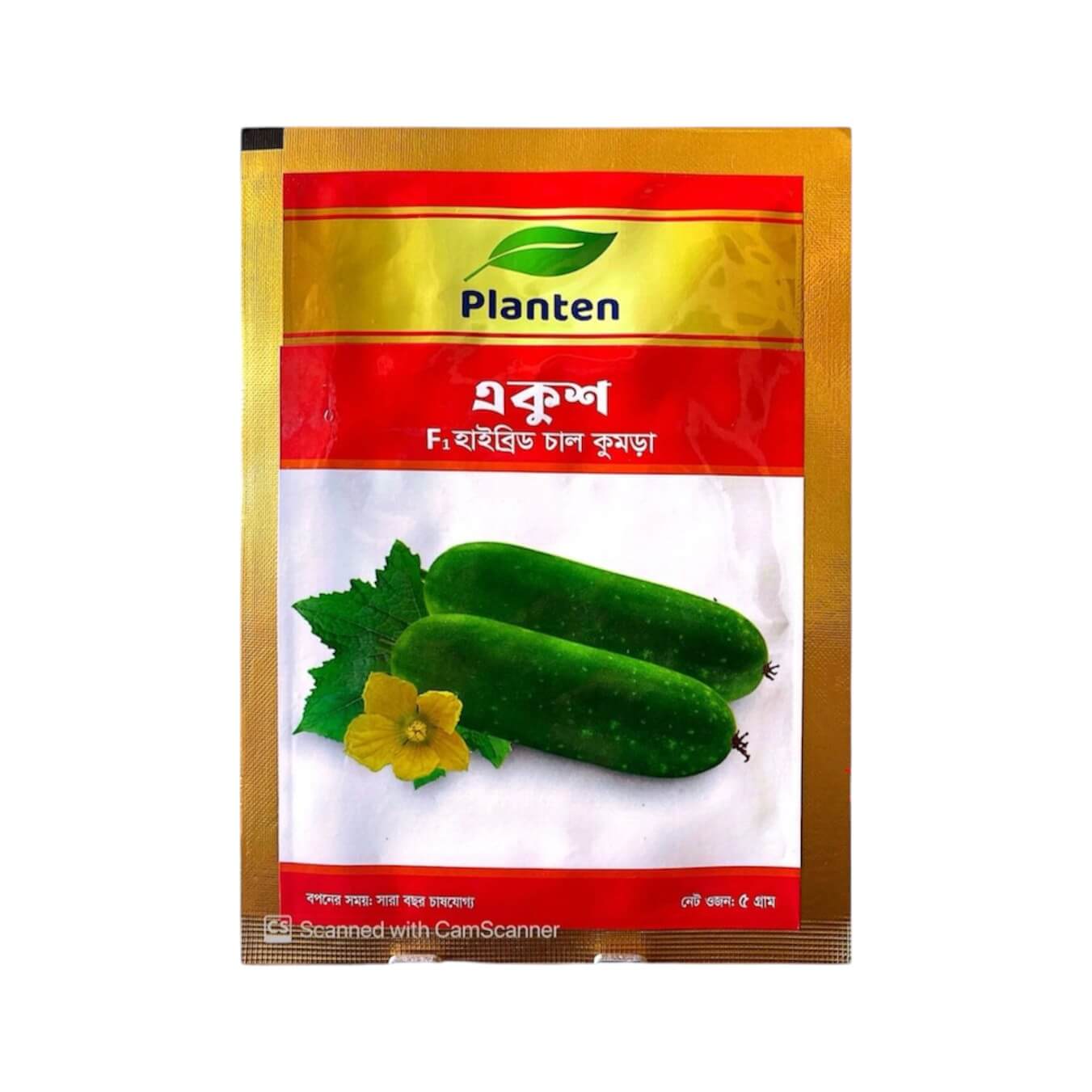 হাইব্রিড চালকুমড়া একুশ