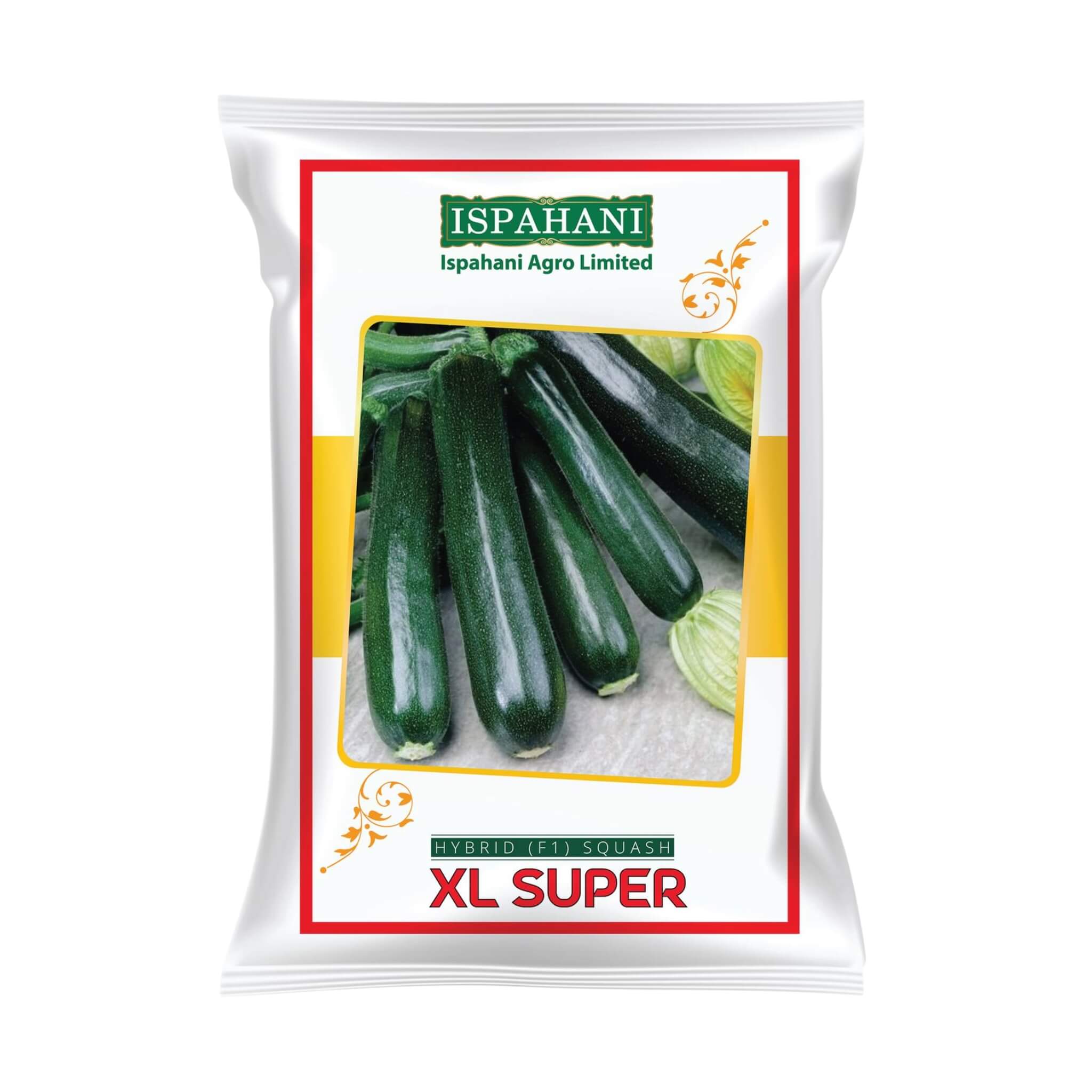 হাইব্রিড স্কোয়াশ এক্স এল সুপার