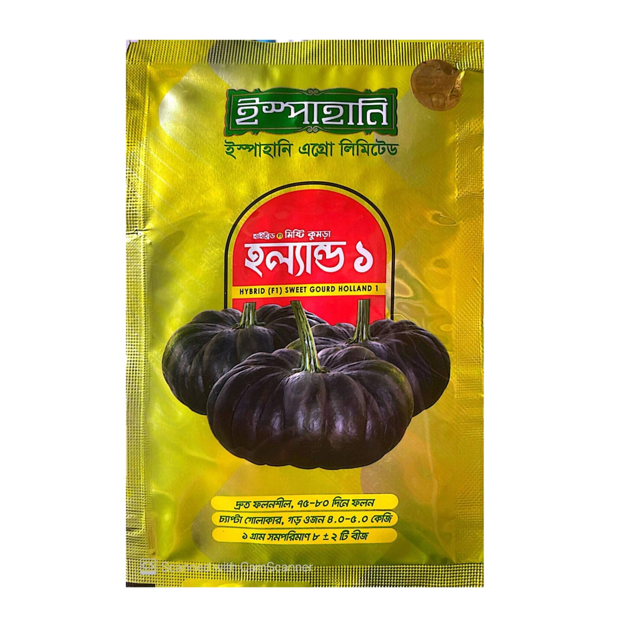 হাইব্রিড মিষ্টি কুমড়া হল্যান্ড ০১
