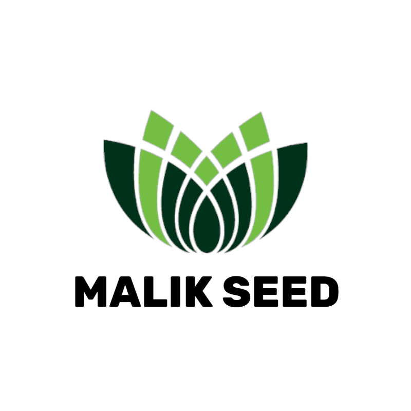 Malik Seed