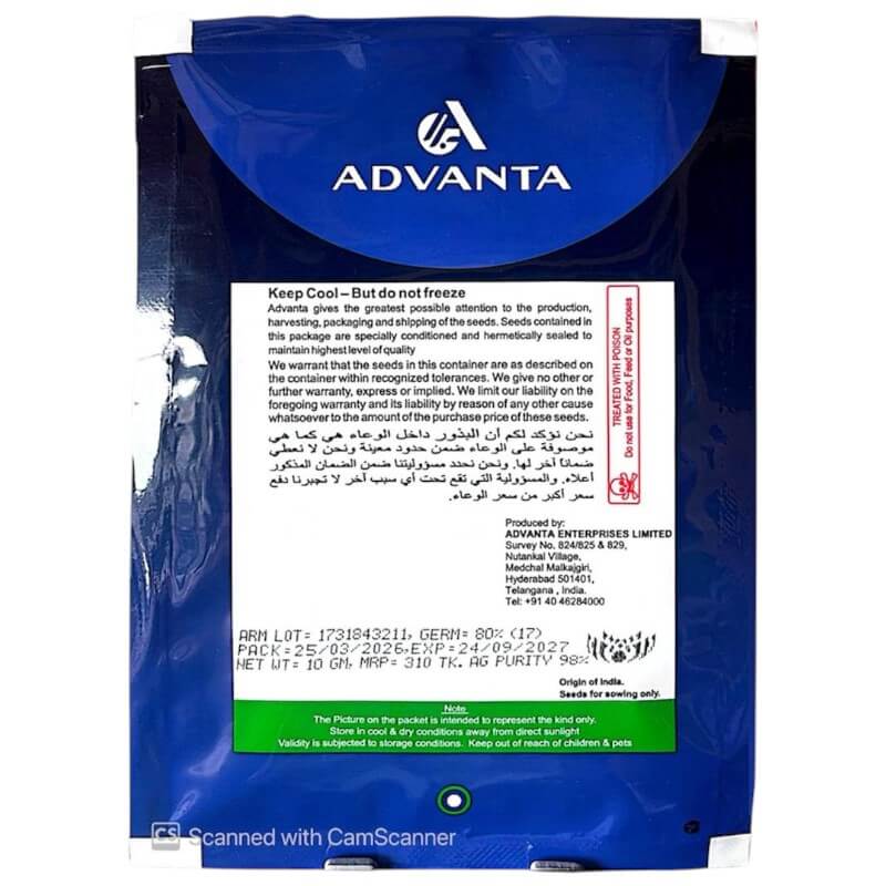 হাইব্রিড ঝিঙ্গা সাগর - Image 2